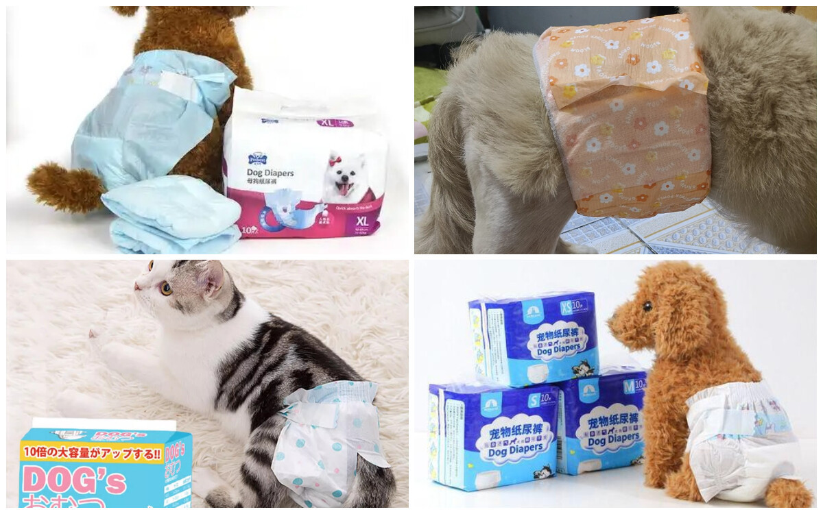 Pet Diapers