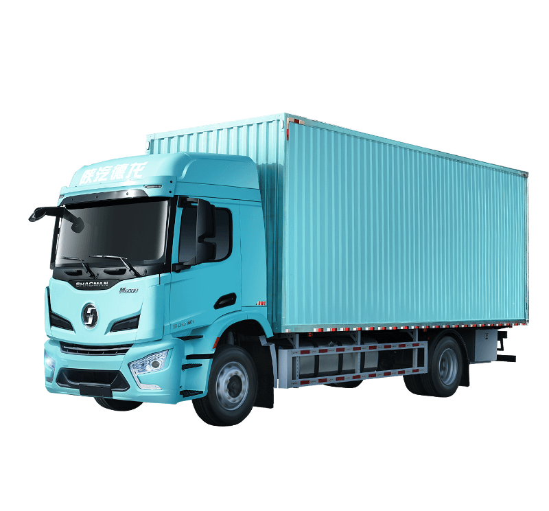ديلونغ M6000 4×2 شاحنة ممر أخضر ذات أرضية مسطحة
