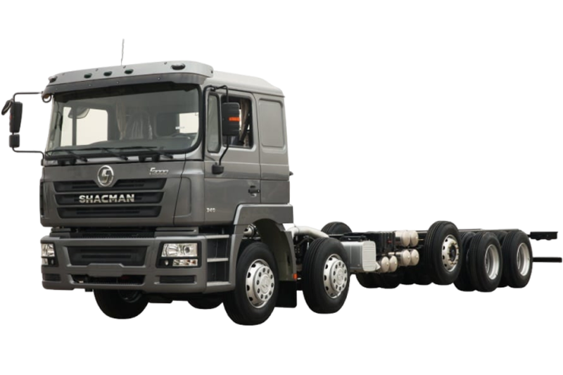 شاحنة بضائع 4X2 F3000