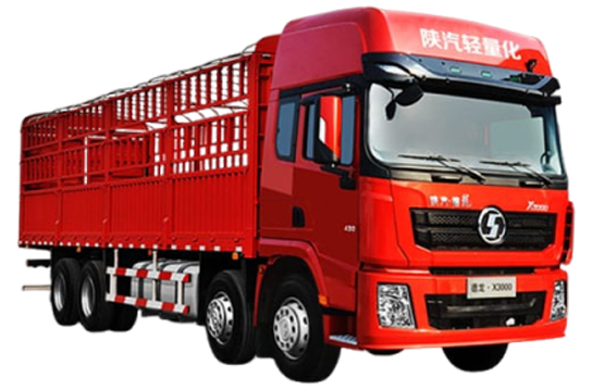 8X4 Caminhão de Carga X3000