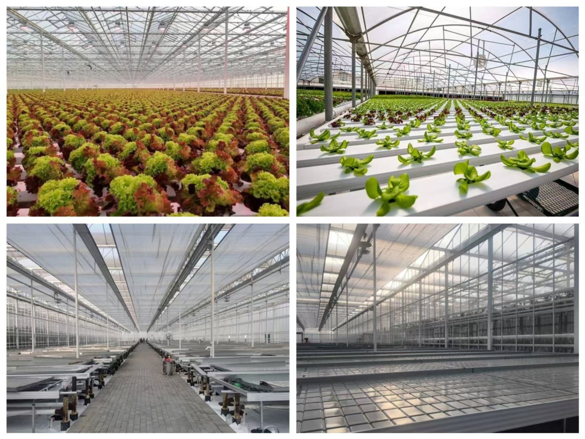 1 Intelligent Climate Control Greenhouse