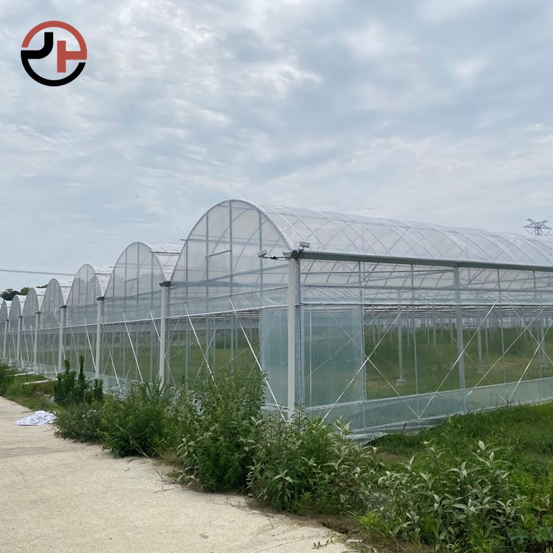 Film Multi-span Greenhouse