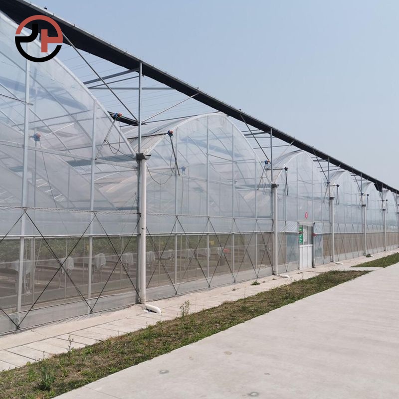 Film Multi-span Greenhouse