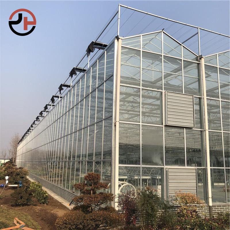 Glass Multi-span Venlo Greenhouse