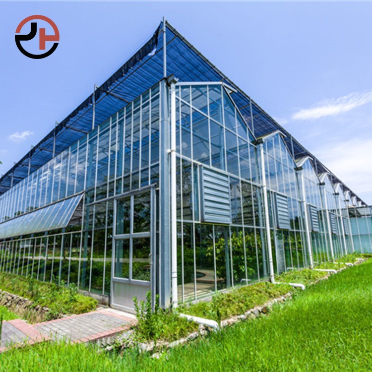 Glass Multi-span Venlo Greenhouse