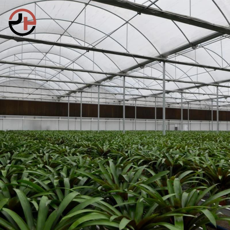 Polycarbonate Greenhouse