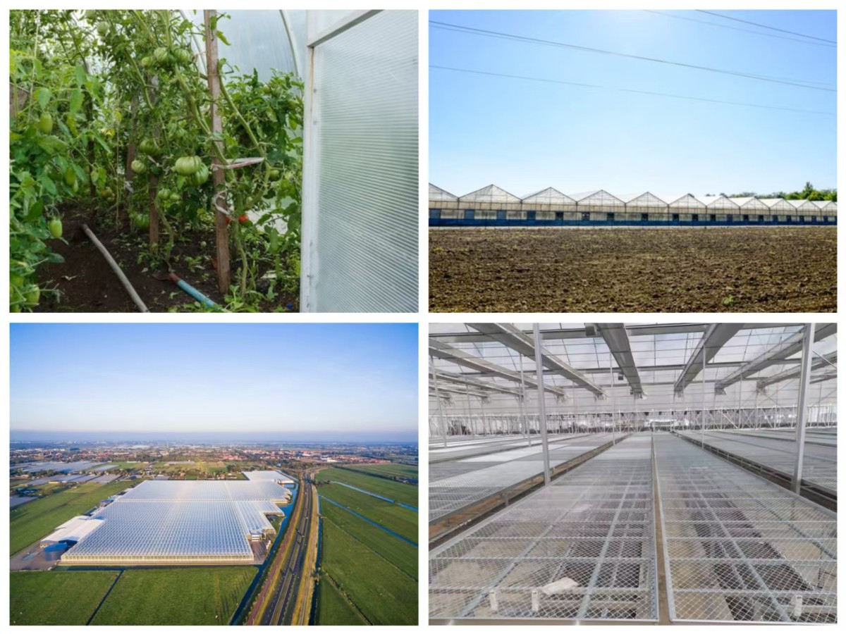 4 Polycarbonate Greenhouse
