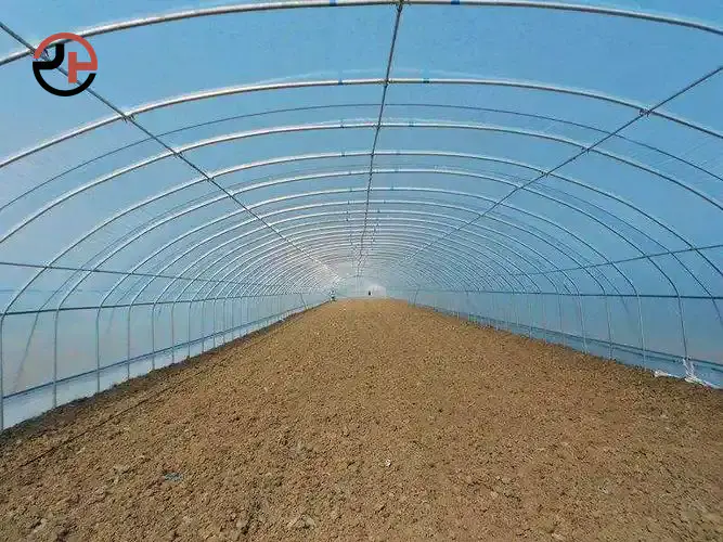 Single-span Tunnel Greenhouse