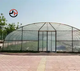 Single-span Tunnel Greenhouse