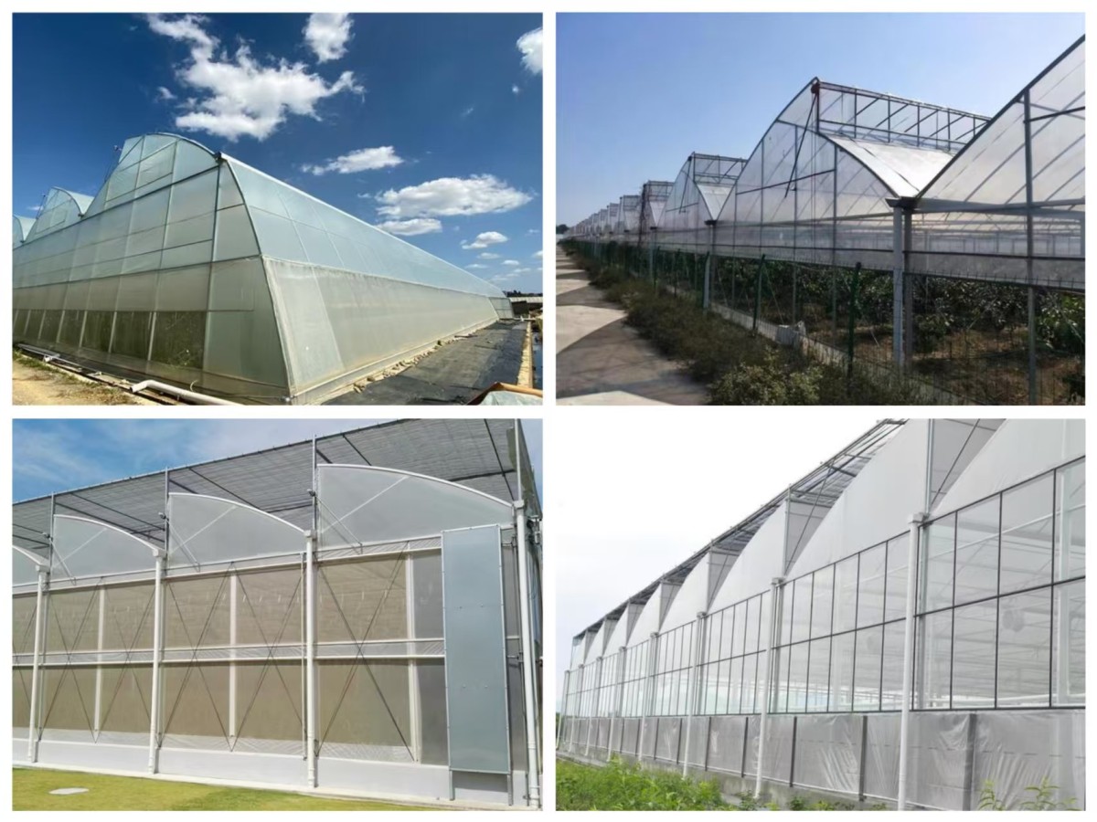 Sawtooth Greenhouse