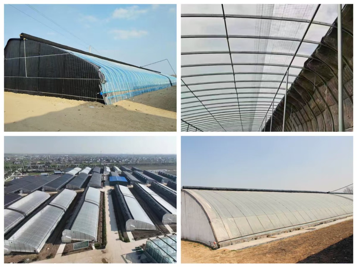 333 Solar Greenhouse