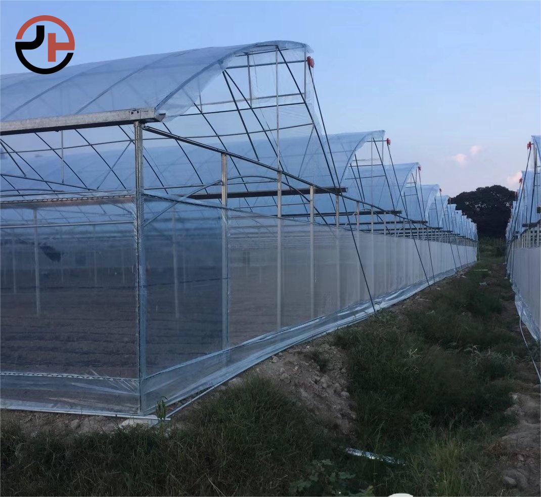 Sawtooth Greenhouse