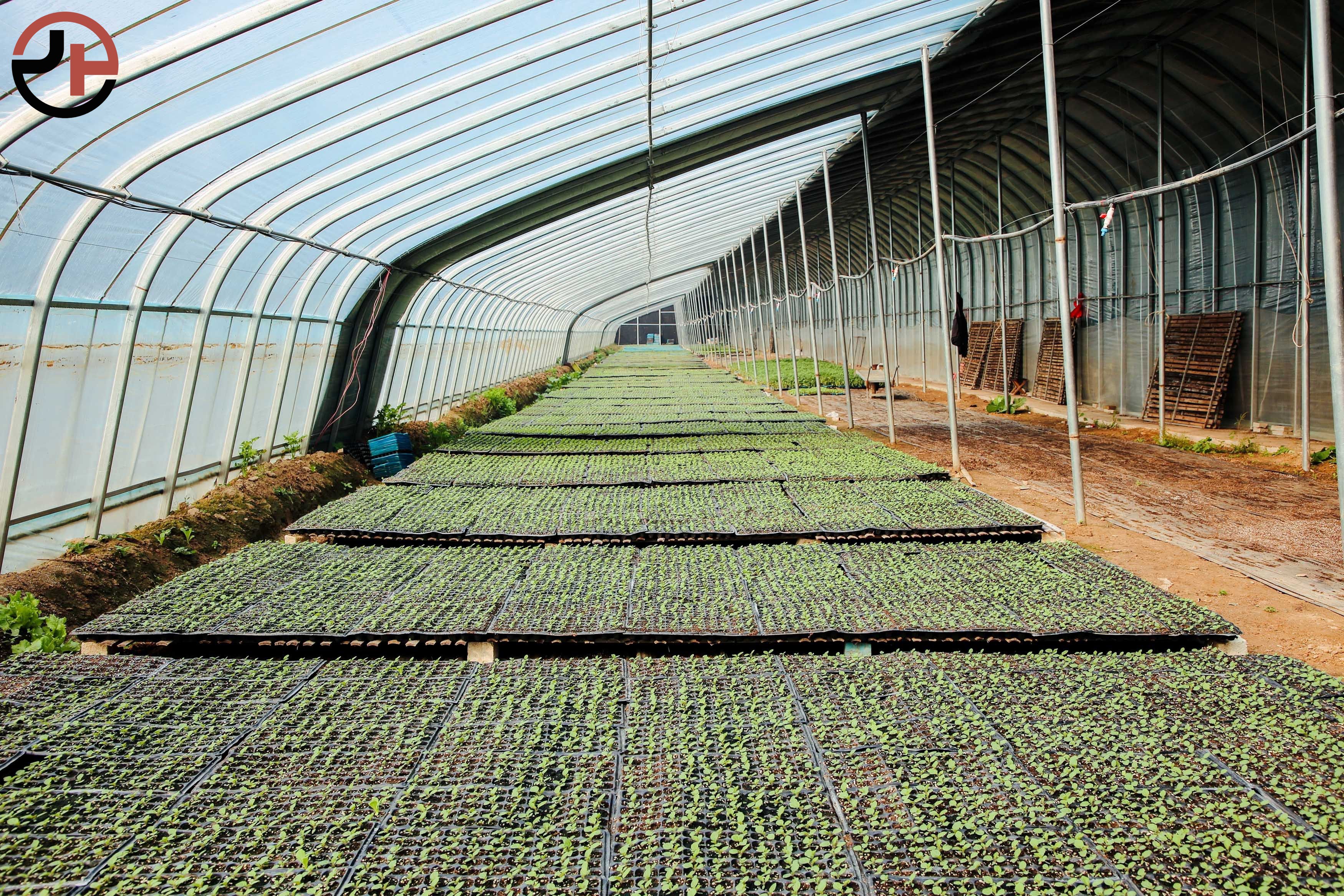 Nursery Seedling Greenhouse