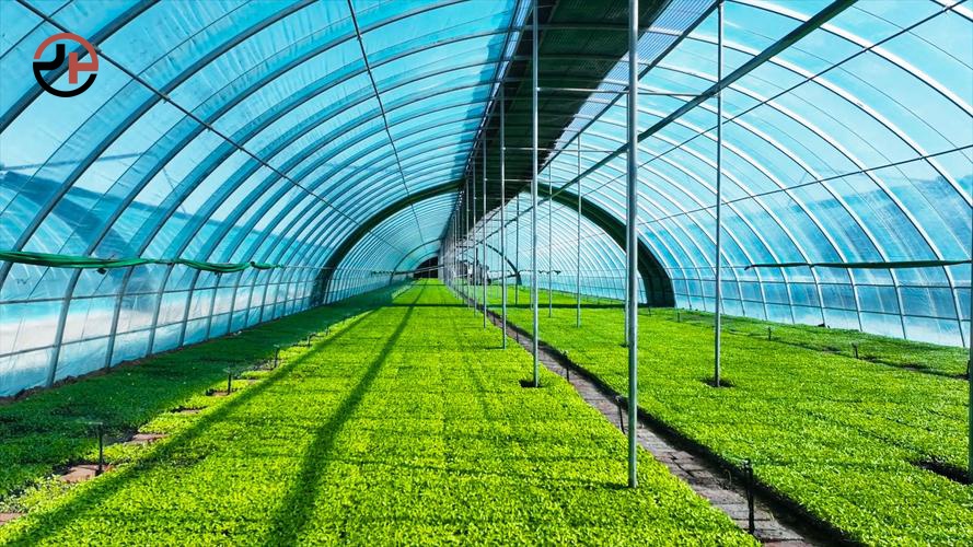 Nursery Seedling Greenhouse