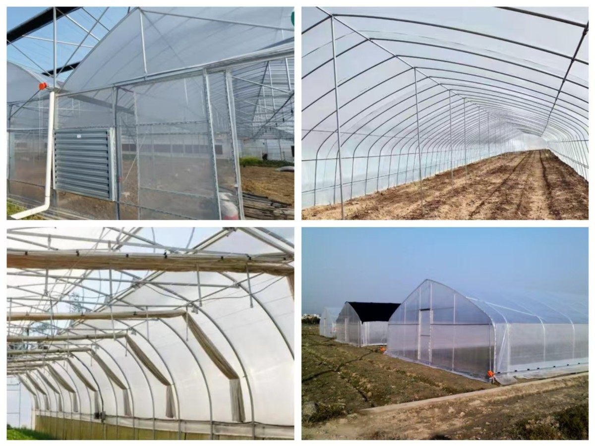 PE Greenhouse Film