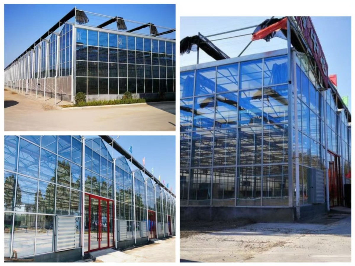 Glass Covering Panel