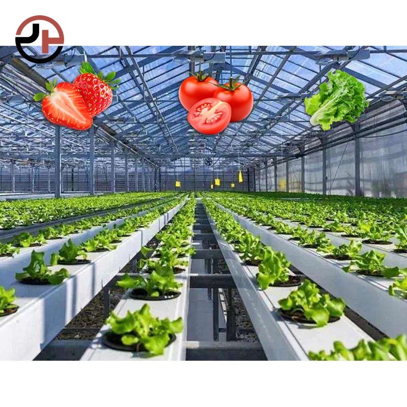 Hydroponic Growing System