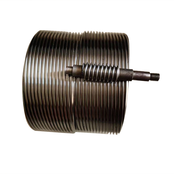 Worm roller cone