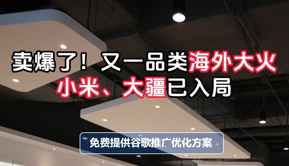 Vendu à guichets fermés ! Une autre catégorie de produits fait fureur à l'étranger, Xiaomi et DJI entrent en scène !