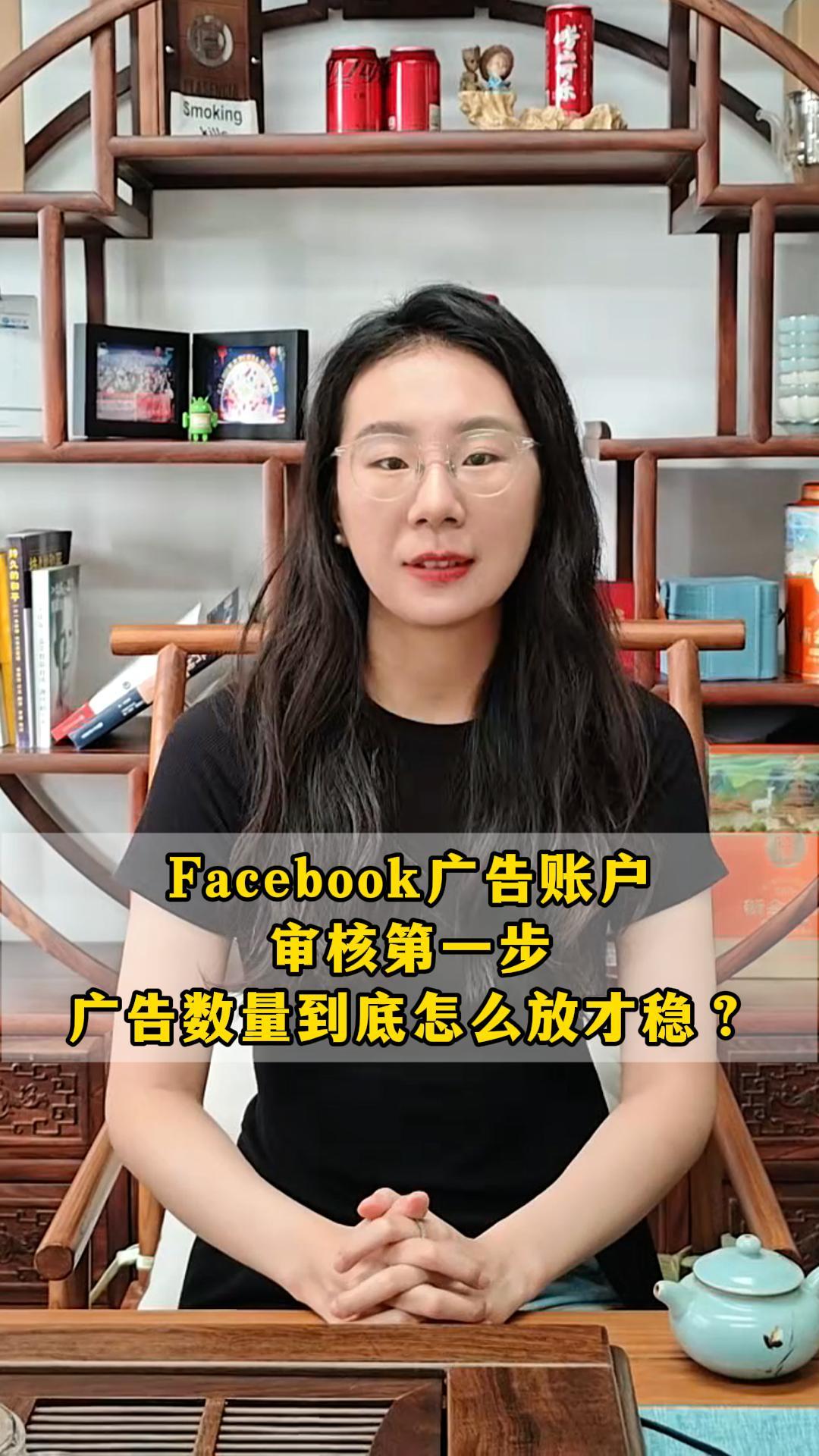 Première étape de l'audit des comptes publicitaires Facebook : Comment stabiliser le nombre d'annonces ?