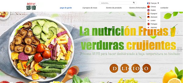 多语言独立站.png Sitio internacional multilingüe todo en uno: estilo europeo y americano, liderando nuevas tendencias en sitios de comercio exterior