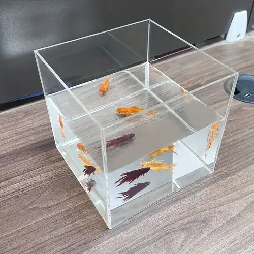 Customized Acrylic Square Fish Tank