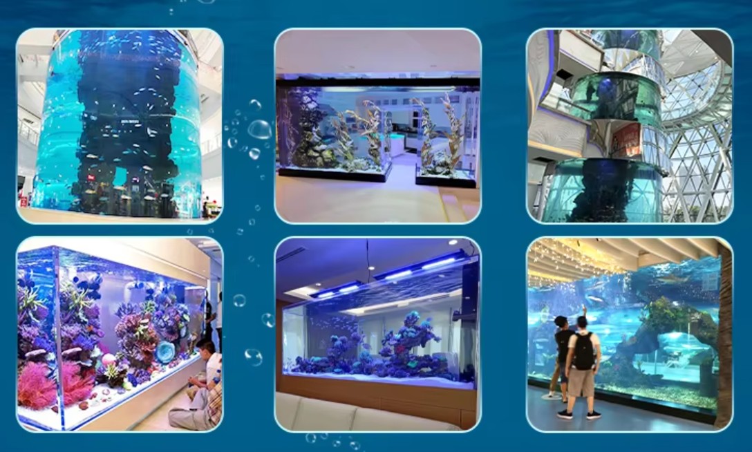 75581e616112543a103f5707d349ec87 Customized Acrylic Square Fish Tank