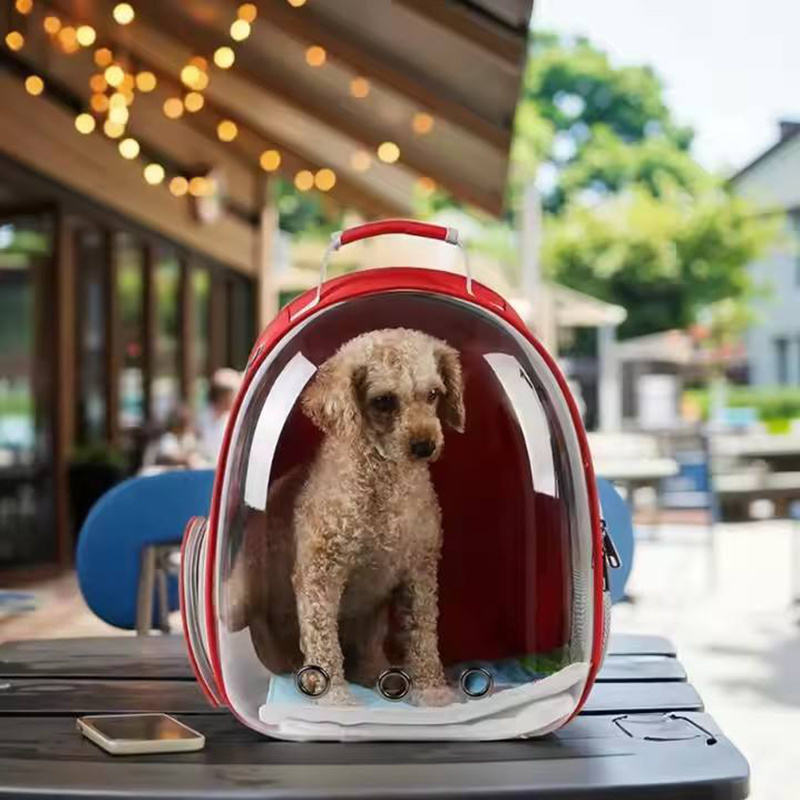 Customized Acrylic Pet Carrier