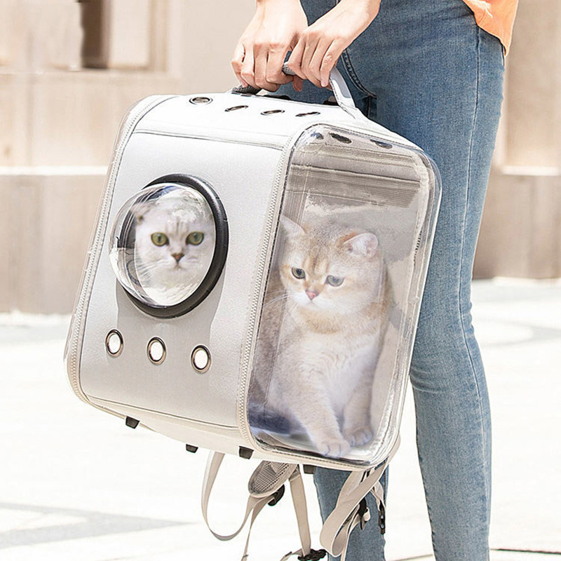 Customized Acrylic Pet Carrier
