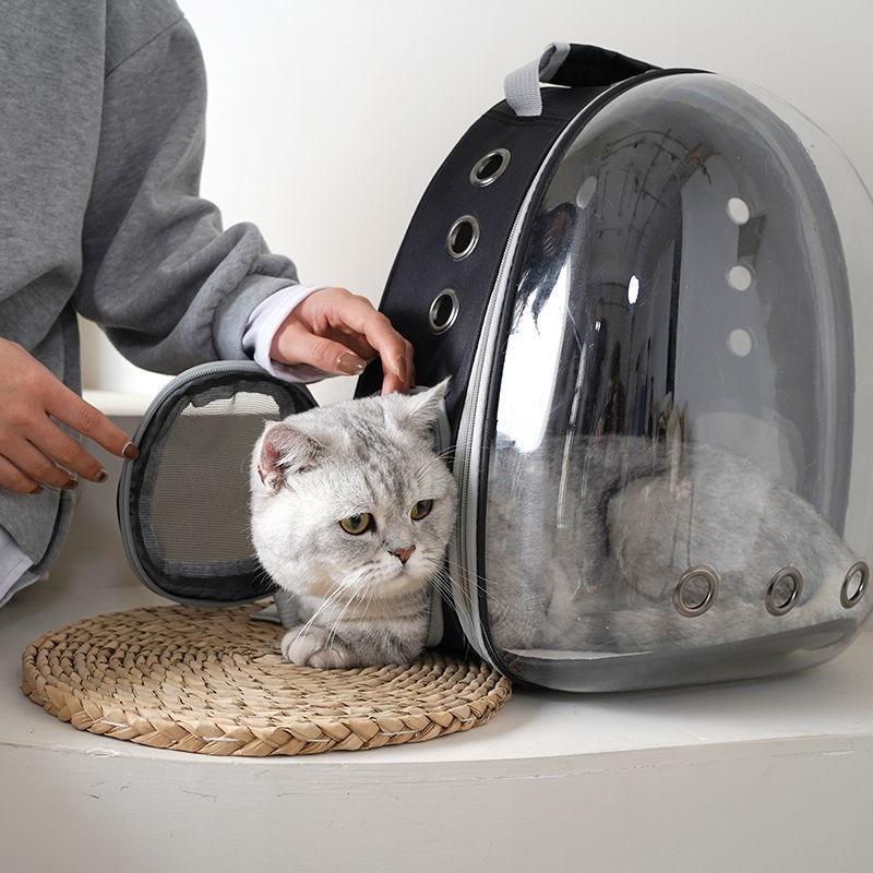 Customized Acrylic Pet Carrier
