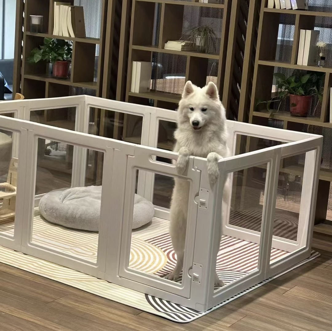 Acrylic Pet Carrier