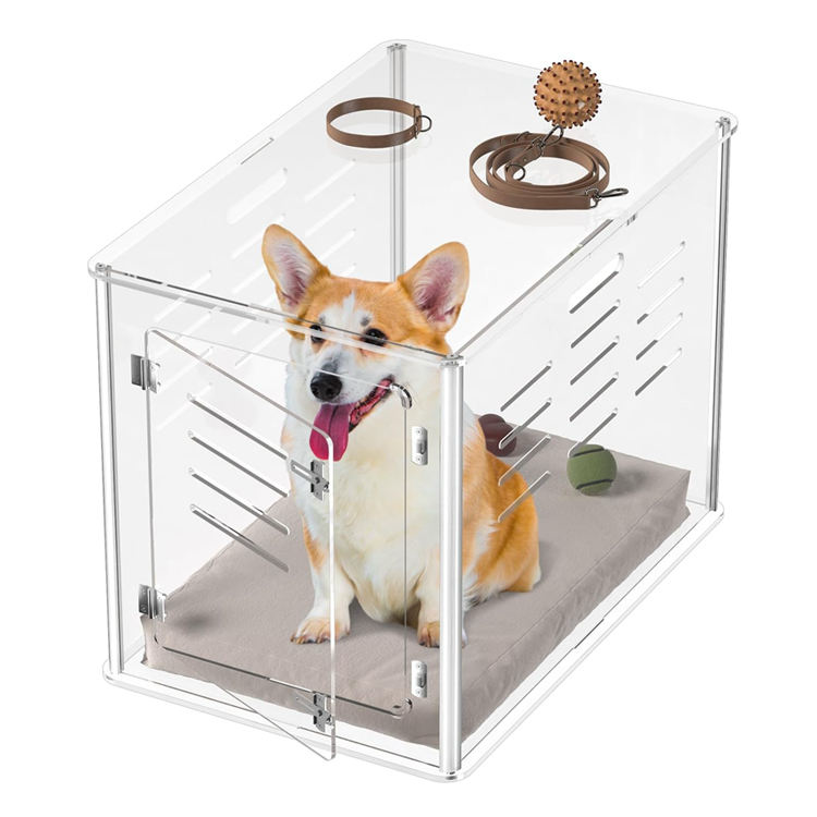 High-transparency observation cabin with zero-distance interaction for exotic pets
