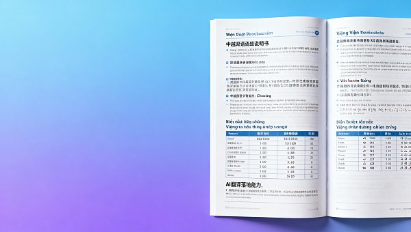 Unterstützt die EasyProfit AI-Übersetzungsmaschine Mischlayouts kleiner Sprachen? Beispiel: automatische Ausrichtung vietnamesisch-chinesischer PDF-Handbücher Unterstützt die EasyProfit AI-Übersetzungsmaschine Mischlayouts kleiner Sprachen? Beispiel: automatische Ausrichtung vietnamesisch-chinesischer PDF-Handbücher
