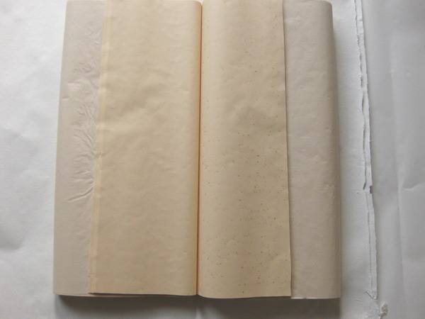Chinese Xuan Paper Rice Paper Blank Roll for Printing Eco-Solvent Ink