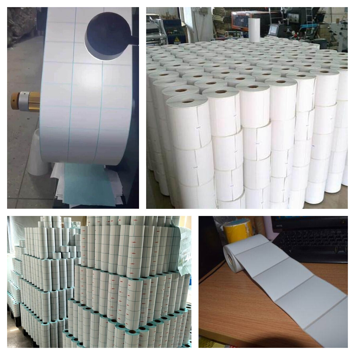 Wholesale Custom thermal Paper Roll