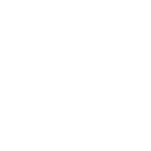 icon (2)
