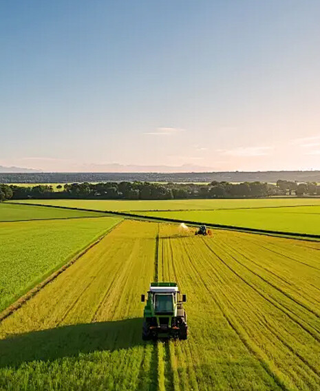 Agriculture