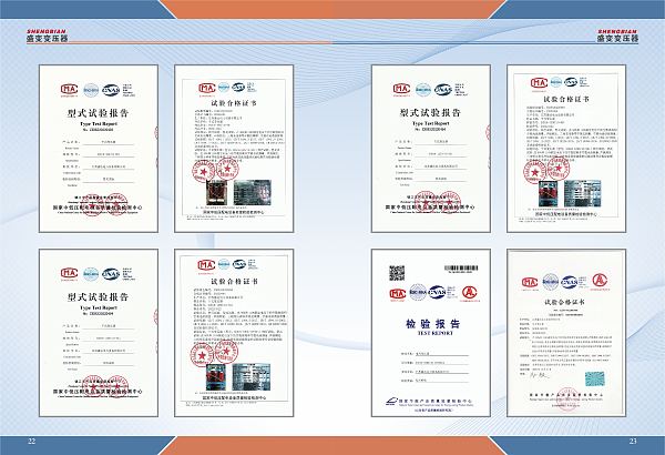 检验报告 (3)