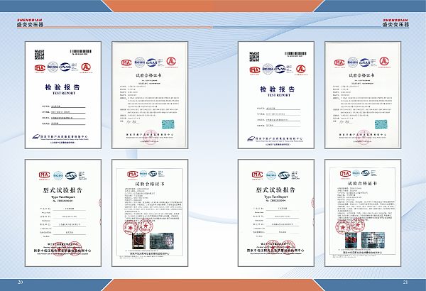 检验报告 (4)