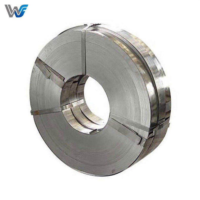 310 Stainless Strip