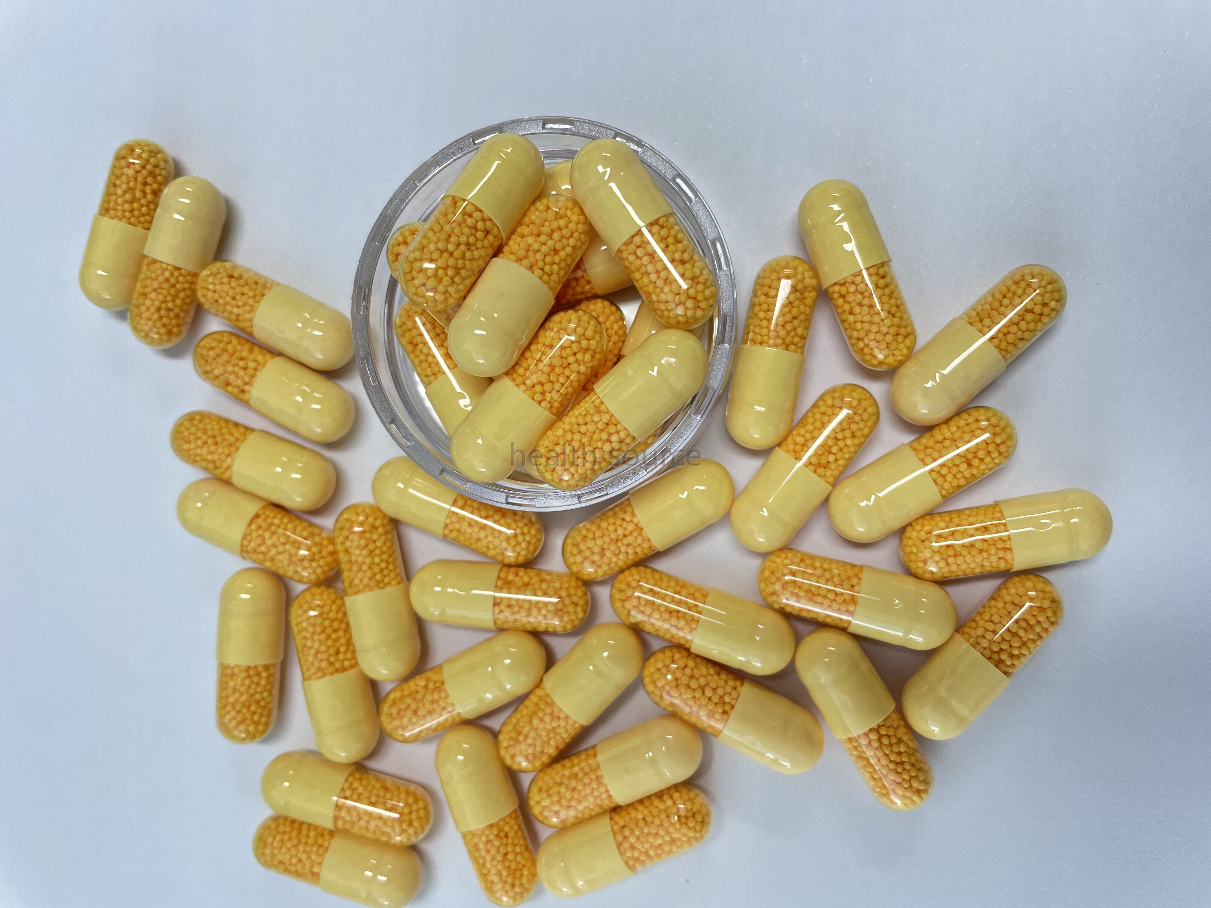 Coenzyme Q10 Time Released Micropellets