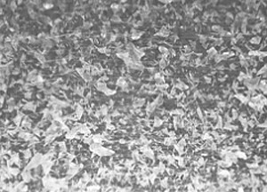 Galvanized Sheet