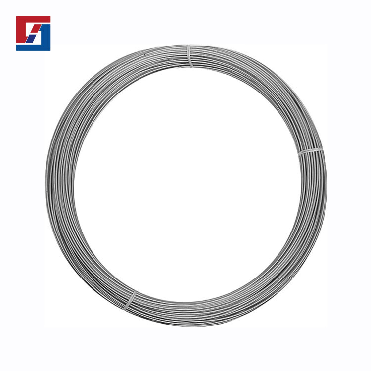 Stainless Steel Wire Stainless Steel Wire