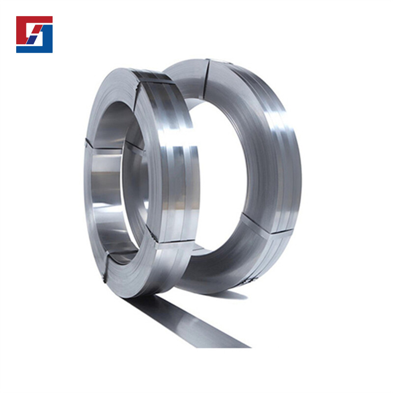 310 Stainless Strip