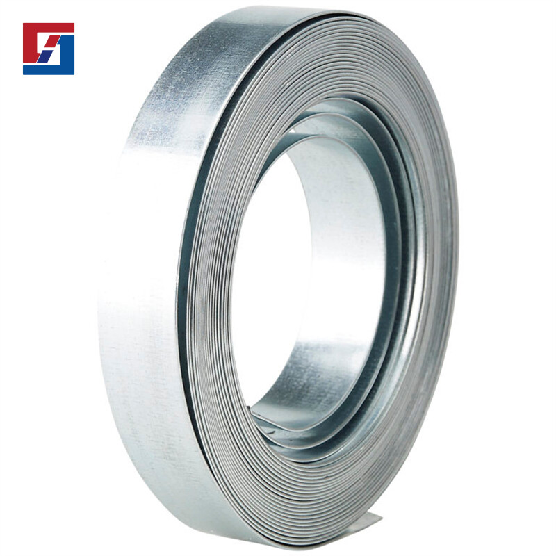 310 Stainless Strip