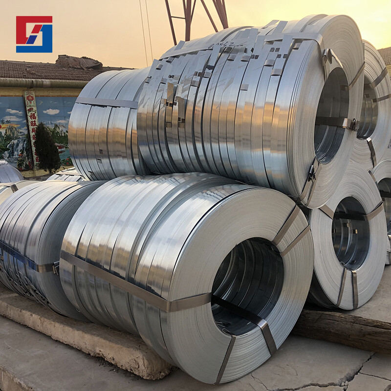 310 Stainless Strip