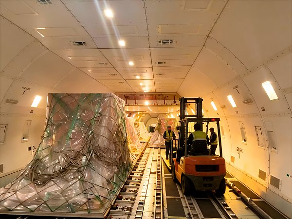 Embalaje y Transporte12