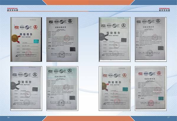 Informe de inspección (6)