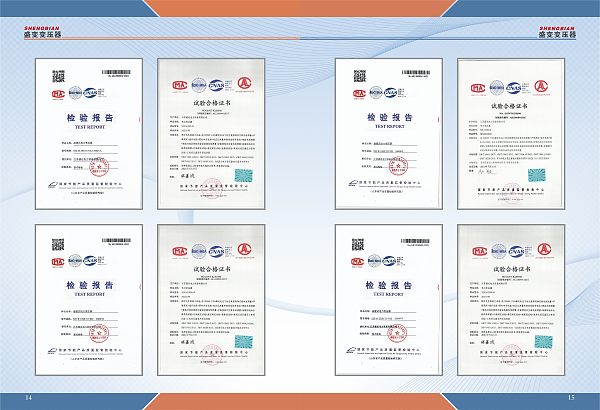 Informe de inspección (7)