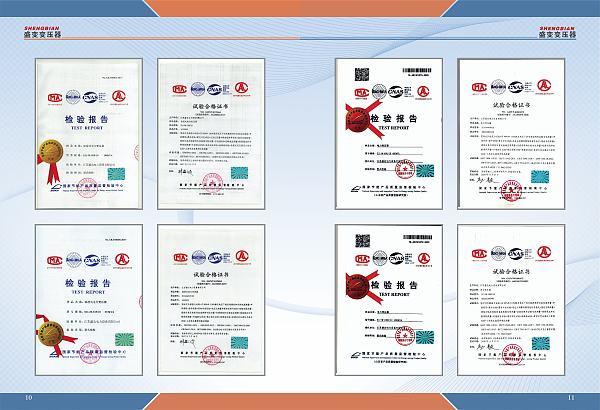 Informe de inspección